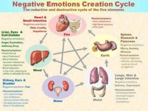 neg emotions creation cycle