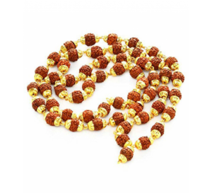 rudraksha bead gold plated mala